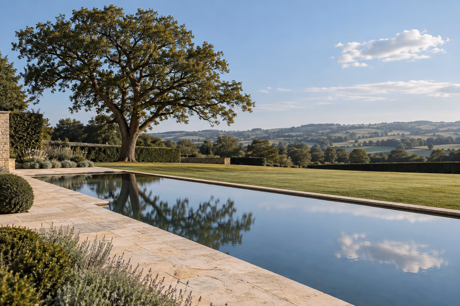 Oak garden in daylight